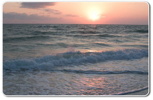 Individual and Corporate Tax Preparation